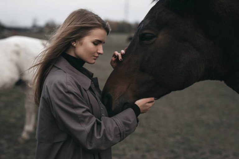 Inkompassie meisje houdt hoofd van paard vast
